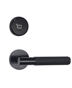 欧比特S3482(雅黑)酒店智能门锁